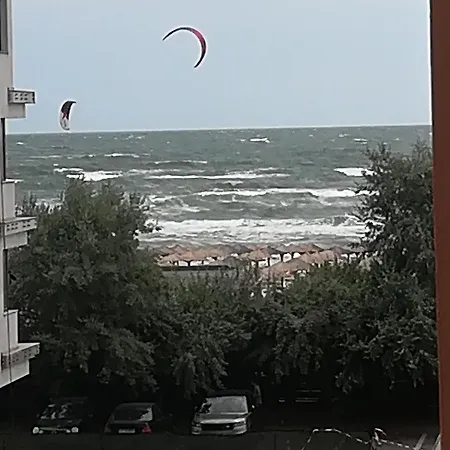 Crazy Beach Summerland * Mamaia